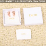 DIOR CD Navy earrings