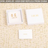 DIOR earrings