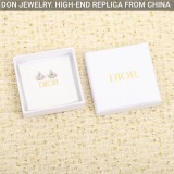 DIOR Navy earrings