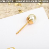 DIOR Tribales earrings