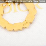 DIOR Petit CD earrings