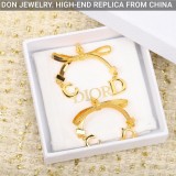 DIOR CD earrings