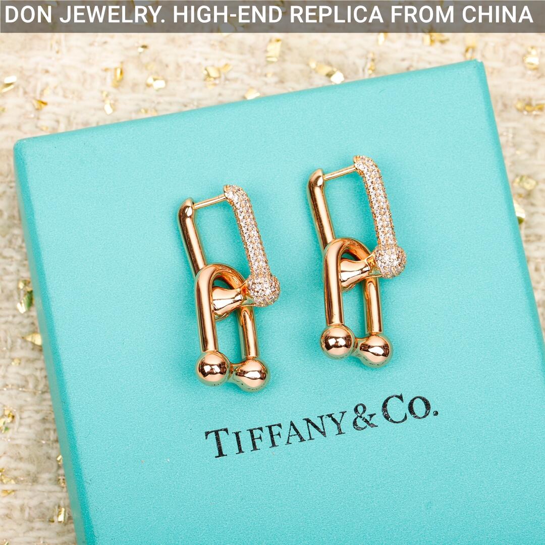 TIFFANY HardWear Large Link earrings