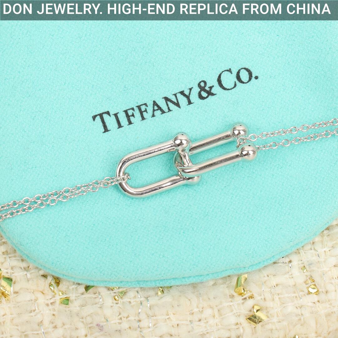 TIFFANY HardWear Large Double Link necklace